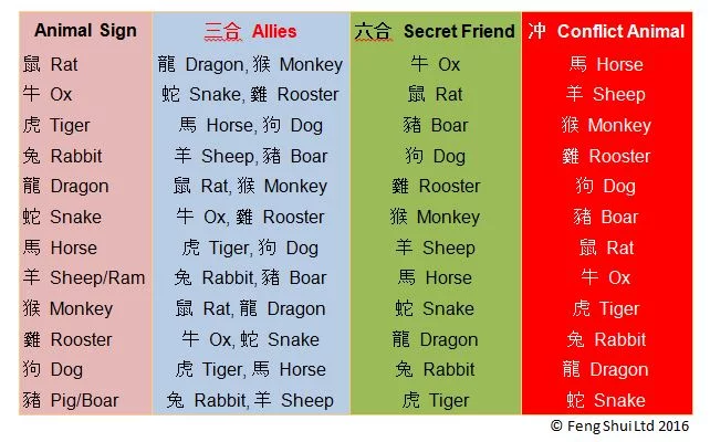 Who Are the Dragons Friends in the Chinese Zodiac? Top Compatible Signs Revealed