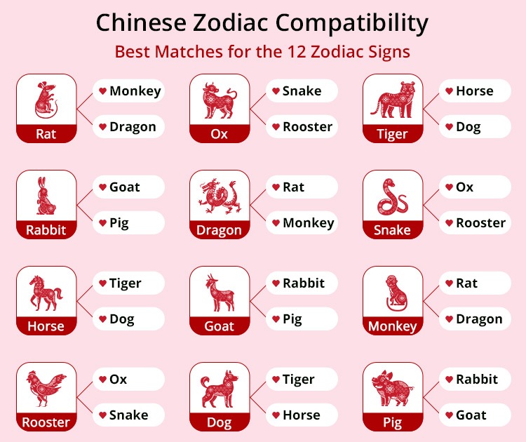 Tiger and Snake Chinese Zodiac Compatibility: Love, Challenges, and Best Matches