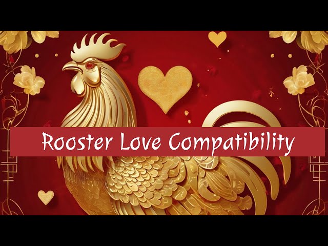 Chinese Zodiac Rooster and Rooster Compatibility: Love and Relationship Insights