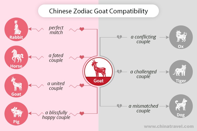 Chinese Zodiac Insights: Goat and Dog Compatibility Explained