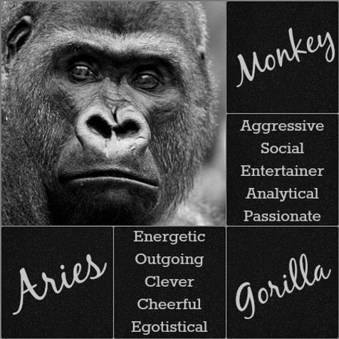 The Unique Primal Astrology of Monkey and Aries: Adventure, Energy, and Cleverness