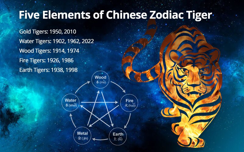 Explore the 1866 Chinese Zodiac: How the Fire Tiger Shapes Your Personality and Destiny