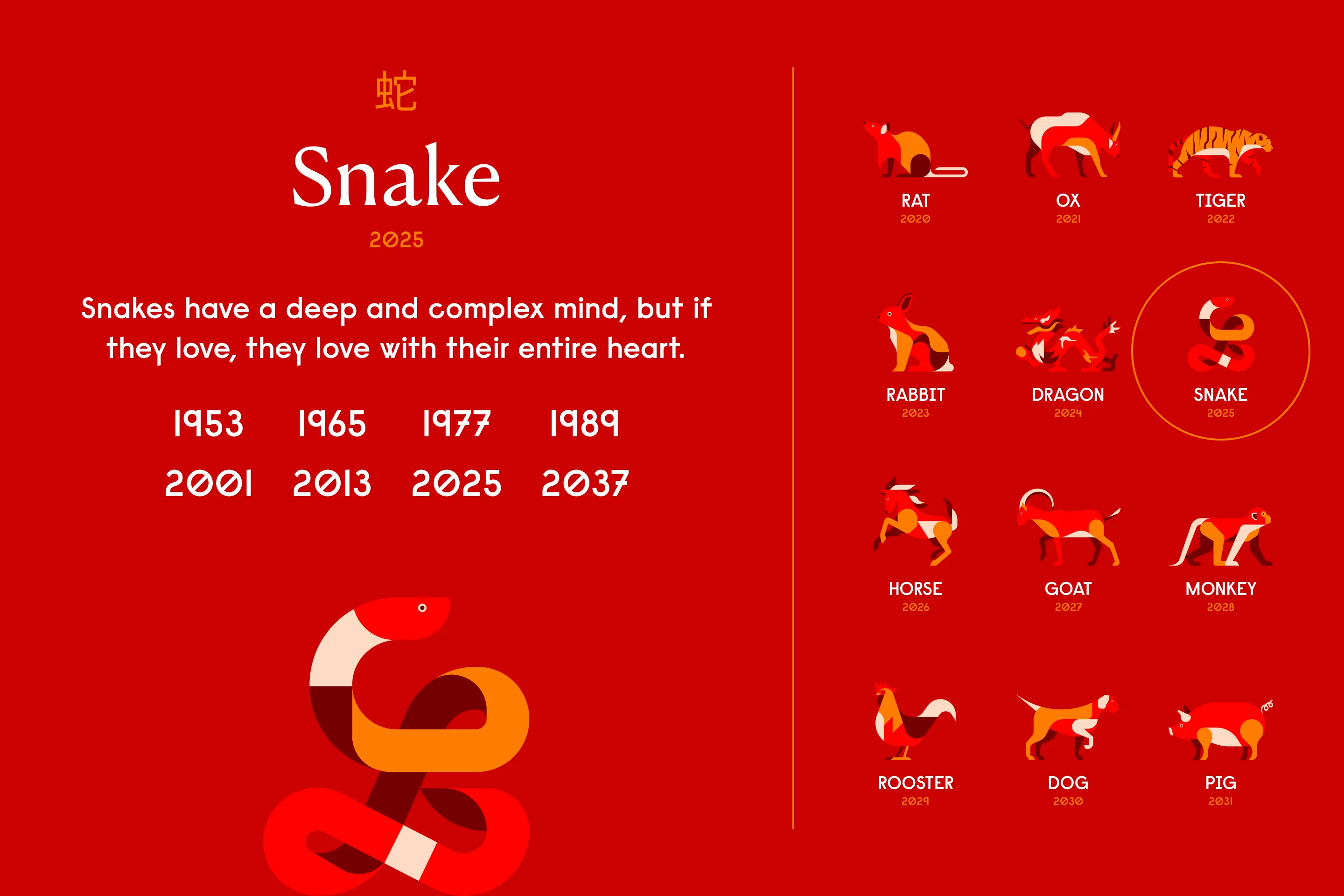 Chinese Zodiac Sign for Someone Born on December 9, 1977: Fire Snake Traits Revealed