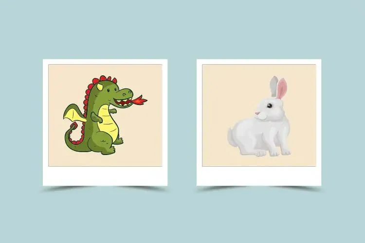 Chinese Zodiac Dragon and Rabbit Compatibility: A Tale of Passion and Serenity