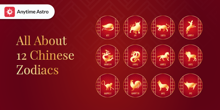 Understanding the Four Trines of the Chinese Zodiac: The Power of Triads