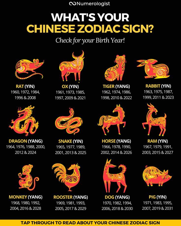 12 Chinese Zodiac Tattoo Designs: What Your Sign Says About You