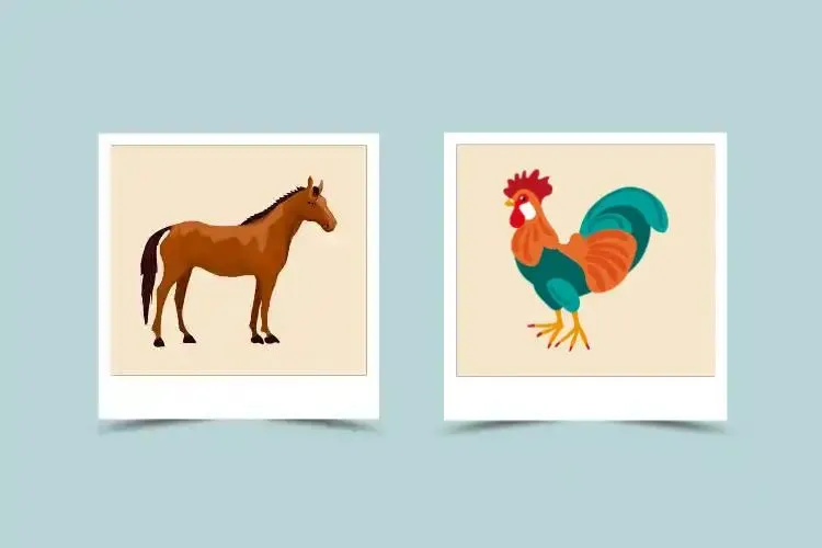 How Rooster and Horse Pair in Chinese Zodiac: Strengths and Challenges Explained