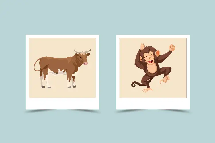 Discover Monkey Ox Chinese Zodiac Compatibility Secrets Now