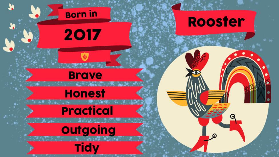 Born in 2017? Find Out Your Chinese Zodiac Sign Now!