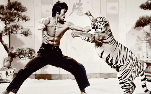 Did Bruce Lee Ever Believe in Astrology? Exploring the Martial Artists Views