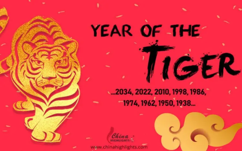 Tiger and Snake Chinese Zodiac Compatibility: Love, Challenges, and Best Matches