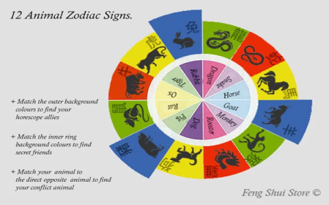 Tiger vs Snake in Chinese Zodiac: Understanding the Love and Personality Traits