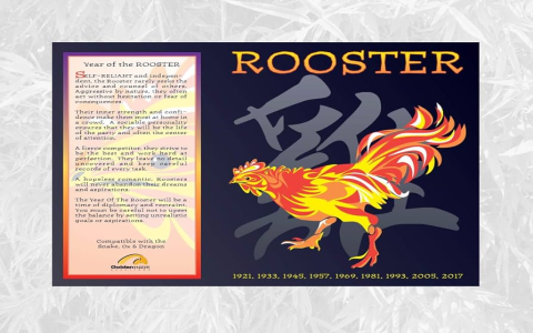 Explore Rooster and Rooster Compatibility in Chinese Zodiac Astrology